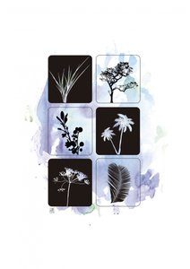 Botanical Silhouettes in Watercolor by Osvaldo Russo