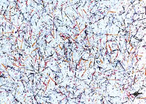 Vibrant Scattered Lines by Osvaldo Russo