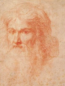 Head of a Man with a Long Beard