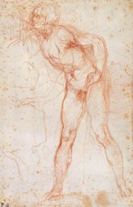 Study of a male nude turned to the left