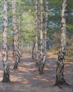 Birch Path on the Heller Near Dresden