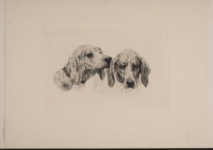 Two Dog Heads