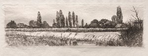 Cornfield by Otto H. Bacher