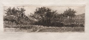 Roofs and Trees by Otto H. Bacher