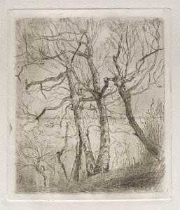 Trees by Otto H. Bacher