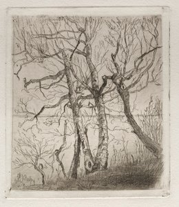 Woods by the Lake, 1878 by Otto H. Bacher