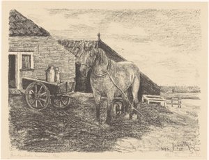 Ameland Mare