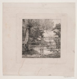 Willow Trees by a Stream by Otto Haslund