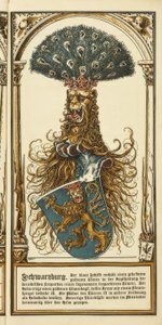 The Family Crests of the German Princely Houses: Schwarzburg by Otto Hupp
