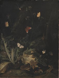 A Forest Floor with a Thistle, a Snake, a Lizard and Butterflies by Otto Marseus  van Schrieck