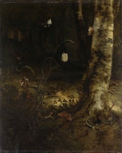 Forest Floor with a Snake, Lizards, Butterflies and Other Insects by Otto Marseus  van Schrieck