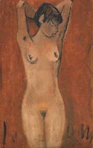Female Nude on a Brown Background