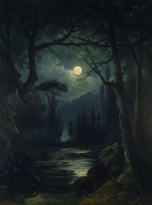 A Moonlit Woodland Scene