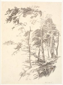 Beech Trees on a Slope by P.C. Skovgaard