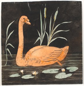 A Swan on Black Background. Decorative Draft.