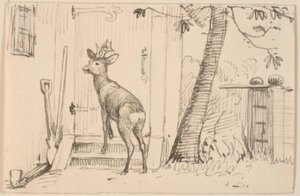 The Deer at the Door