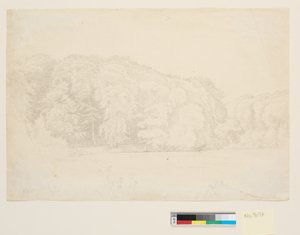 Forest Lake with Large Beeches in the Background