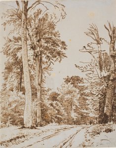 Forest Road. Iselinge by P.C. Skovgaard