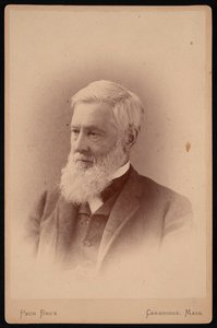 Portrait of Asa Gray
