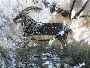 Goat or Chamois, Rock Painting in the Black Room, Magdalenian by Paleolithic Paleolithic