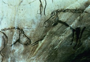 Horses, rock paintings in the Black Room, Magdalenian by Paleolithic Paleolithic