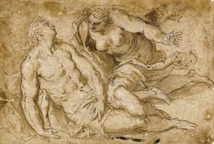 Venus discovering the dead Adonis by Palma Il Giovane