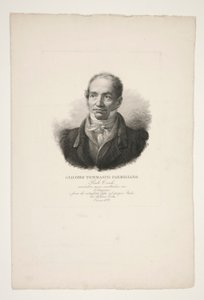 Portrait of Giacomo Tommasini Parmigiano by Paolo Toschi