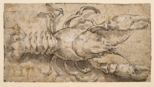 Crayfish