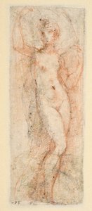 Female figure - study for the Steccata
