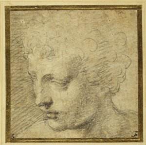 Head of a boy, nearly in profile to the left by Parmigianino