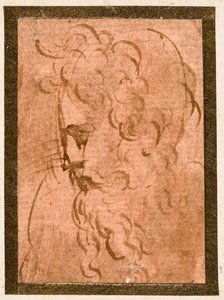 Male Head by Parmigianino