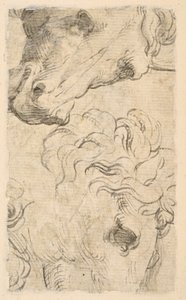 Two Studies of Heads of Horses (fragment) by Parmigianino