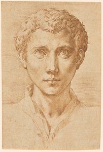 The Head of a Young Man by Parmigianino