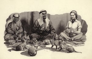 An Arab Man Feeds His Cats by Pat (1907-95) Nicolle
