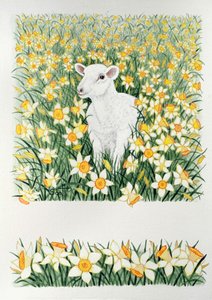 A Spring in the Step