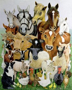 Animal Allsorts by Pat Scott