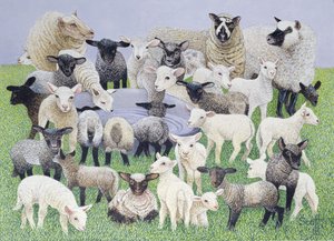 Feeling Sheepish