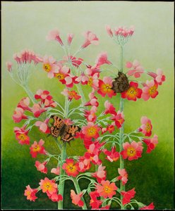 In the Pink, 2011