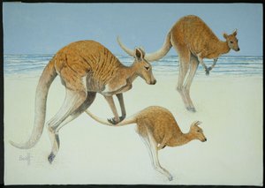 Leaping Ahead by Pat Scott