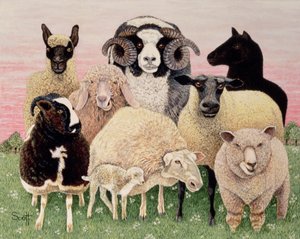 Shepherds Delight by Pat Scott