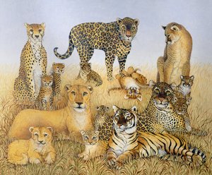 The Big Cats