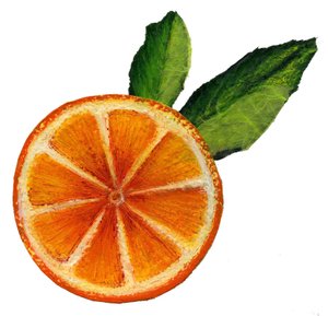 Fruit