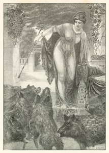 Illustration for Homer