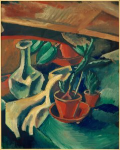 Cacti and Carafe