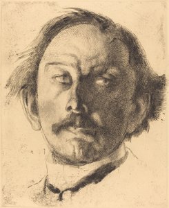 Jules Destrée, 1917