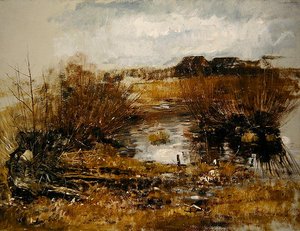 Waterhole with Willow Shrubs