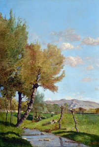 The Large Willow