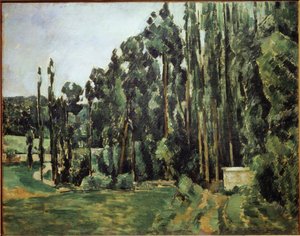 Poplars