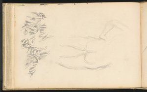 A Nude and Foliage by Paul Cézanne