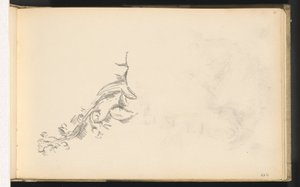 Branch in Flower by Paul Cézanne